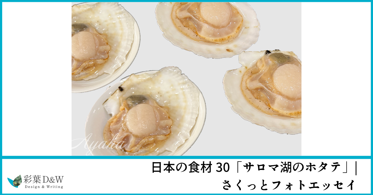 サロマ湖のホタテ