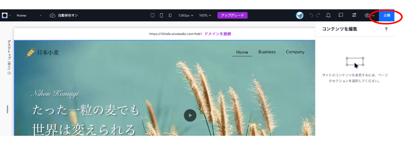 公開